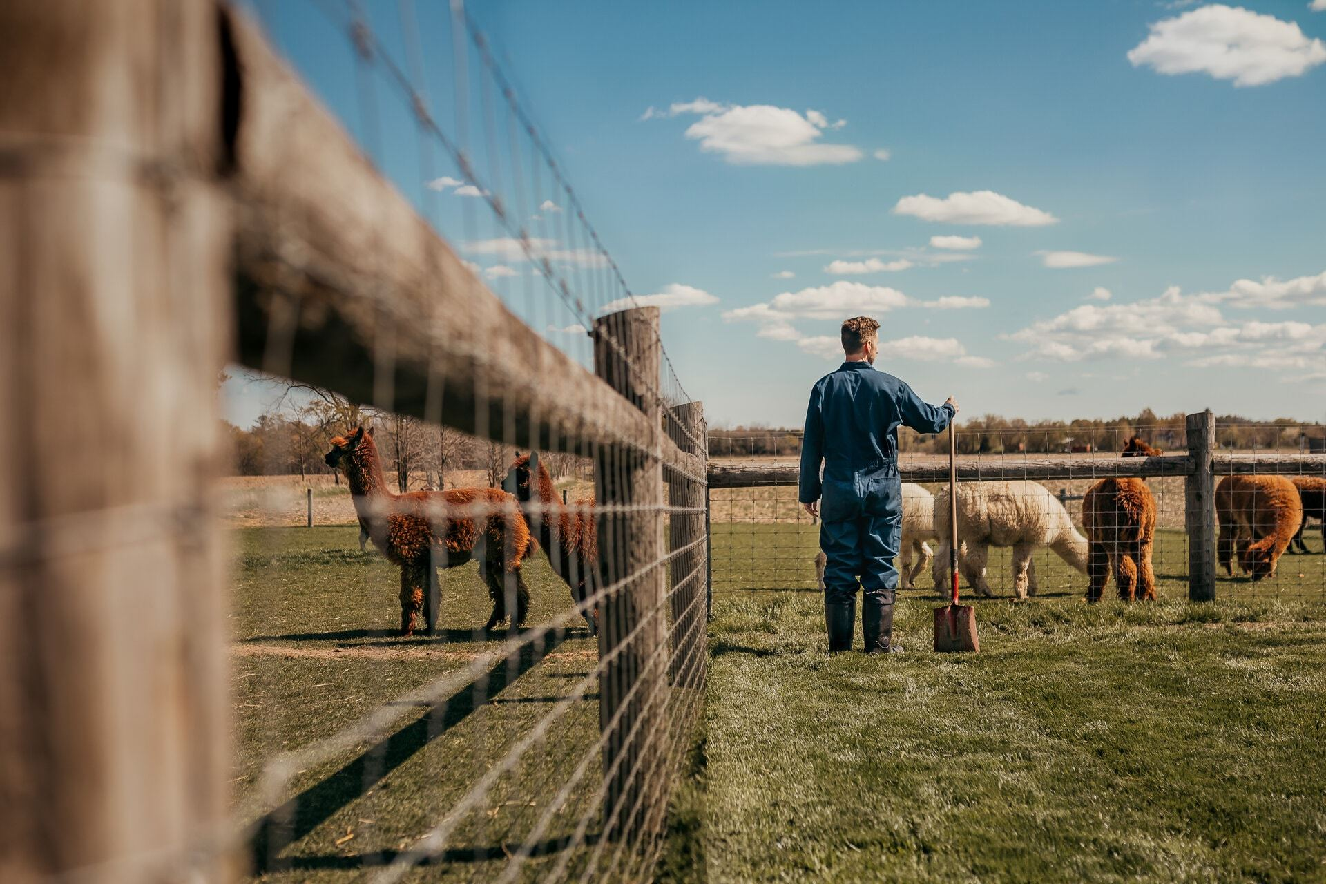 Agriculture Farming Boots